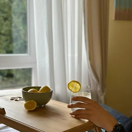 Апартаменты Cozy Копаоник