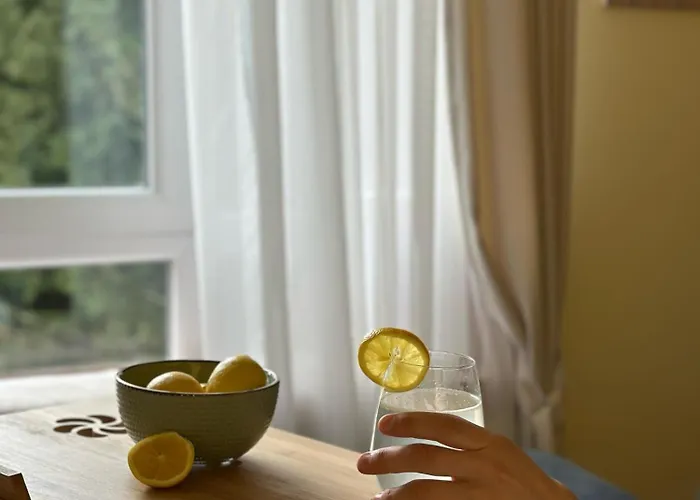 公寓 Cozy 科帕奥尼克